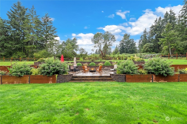 view of yard featuring a patio