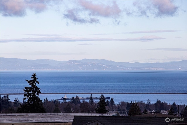 water view featuring a mountain view