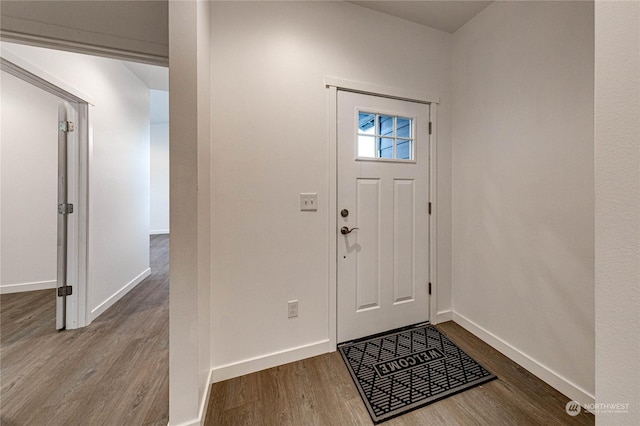 entrance foyer with wood-type flooring