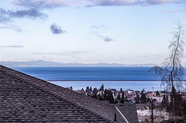 water view featuring a mountain view