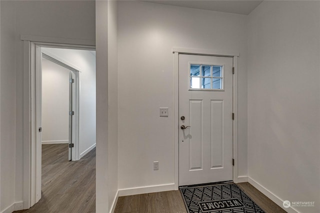 foyer featuring wood-type flooring