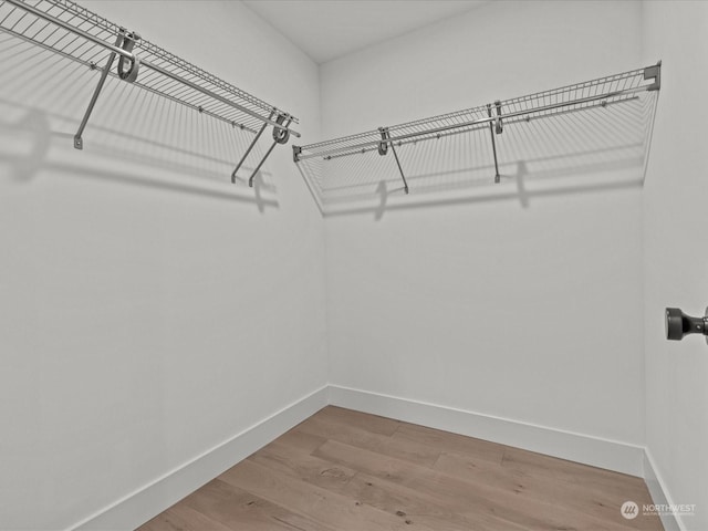 walk in closet featuring wood finished floors