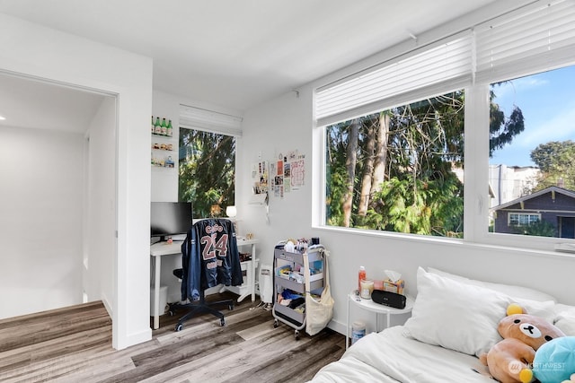 sitting room featuring hardwood / wood-style floors