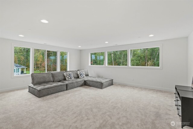 living room featuring light colored carpet