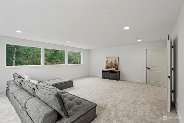 living room with light carpet