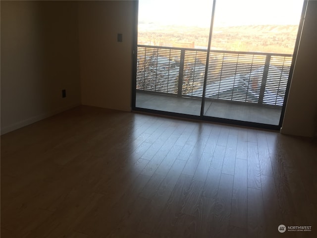 unfurnished room featuring wood-type flooring