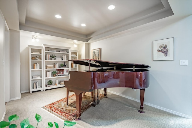 miscellaneous room with carpet flooring and a raised ceiling