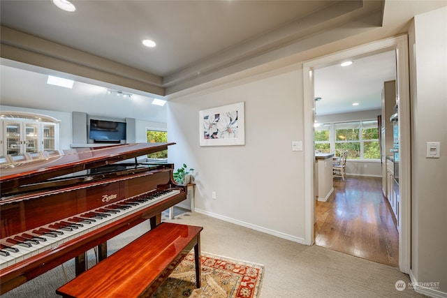 miscellaneous room with carpet