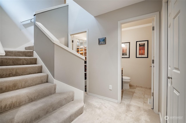 staircase featuring carpet