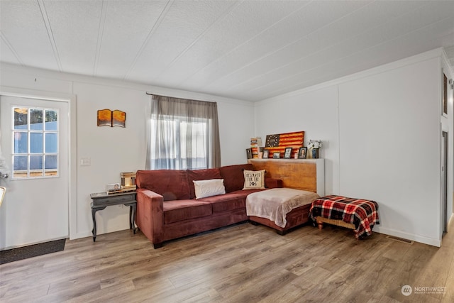 living room featuring hardwood / wood-style flooring