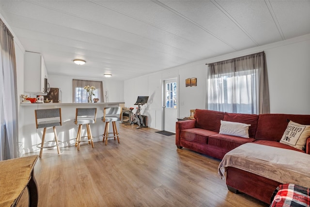 living room featuring ornamental molding and light wood-type flooring