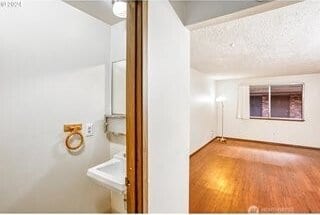 interior space with a sink, a textured ceiling, and wood finished floors