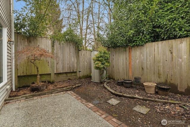 view of yard with a patio and a fenced backyard