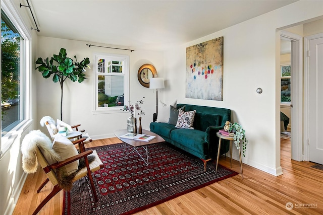 living room with wood-type flooring and plenty of natural light