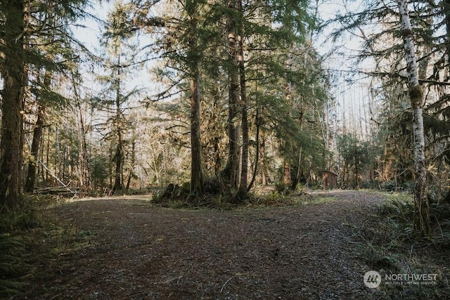 Listing photo 2 for 9999 Mina Smith Rd, Forks WA 98331