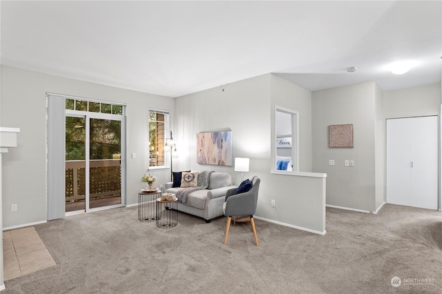 living room with light colored carpet