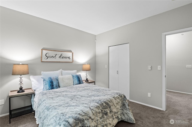 bedroom with a closet and carpet