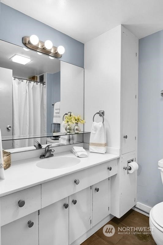 bathroom with vanity, a shower with curtain, and toilet