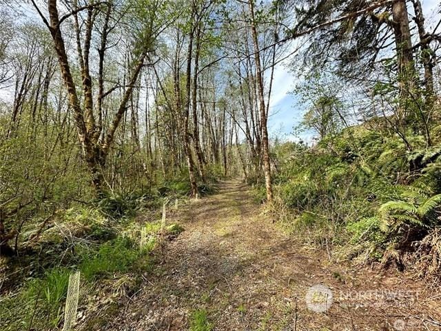 Listing photo 3 for 0 Lincoln Creek Rd, Centralia WA 98579