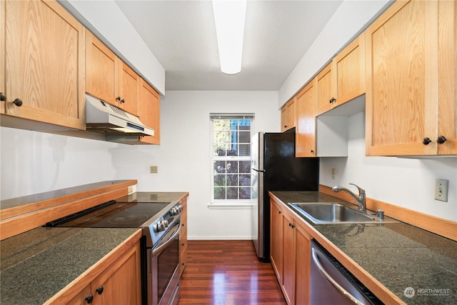 kitchen featuring sink, dark hardwood / wood-style floors, and appliances with stainless steel finishes