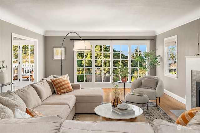 living room with crown molding, a healthy amount of sunlight, and light hardwood / wood-style floors