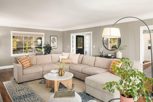 living room featuring ornamental molding and hardwood / wood-style floors