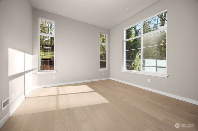 spare room featuring a wealth of natural light and light hardwood / wood-style floors