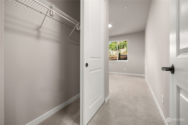 spacious closet with light colored carpet