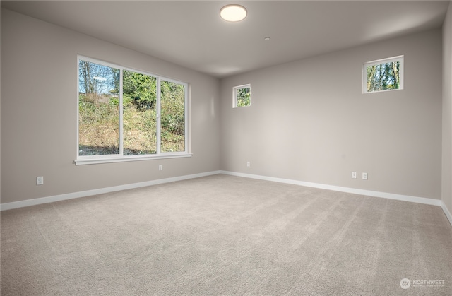 spare room featuring baseboards and carpet flooring