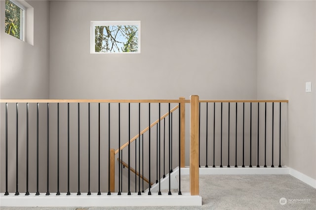 stairway featuring radiator heating unit, a healthy amount of sunlight, and carpet