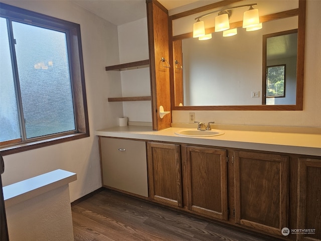 bathroom featuring vanity, a healthy amount of sunlight, and hardwood / wood-style floors