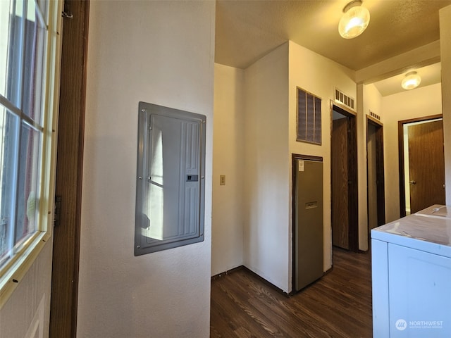 washroom with washer / dryer, dark wood-type flooring, and electric panel