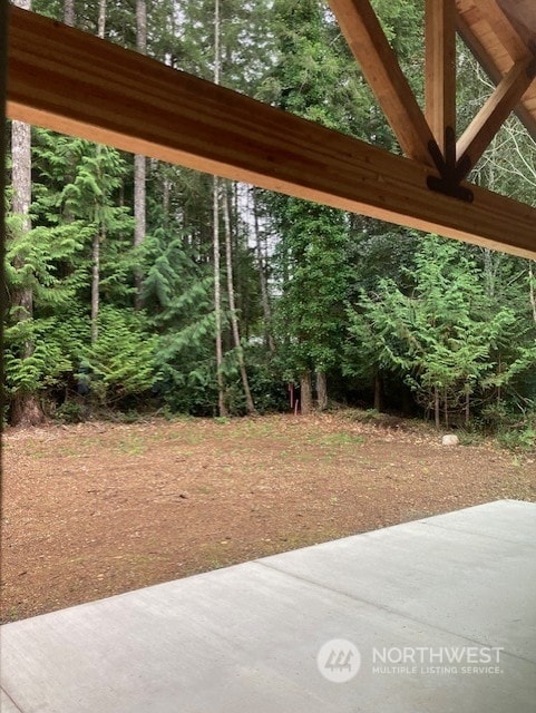 view of yard with a patio area