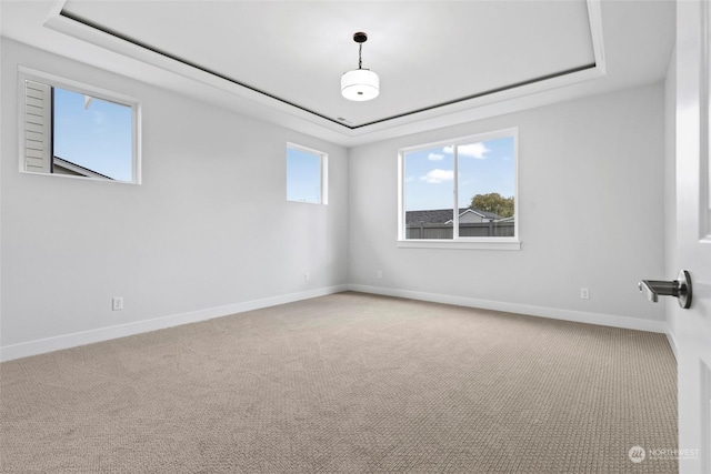 empty room featuring carpet floors and a tray ceiling