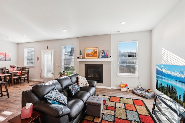 living room featuring light hardwood / wood-style flooring