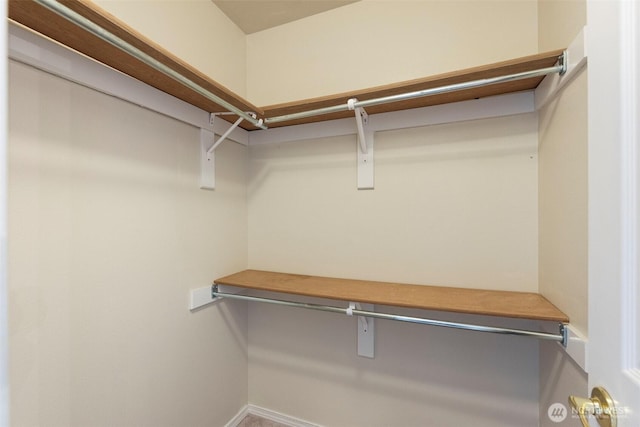 view of spacious closet