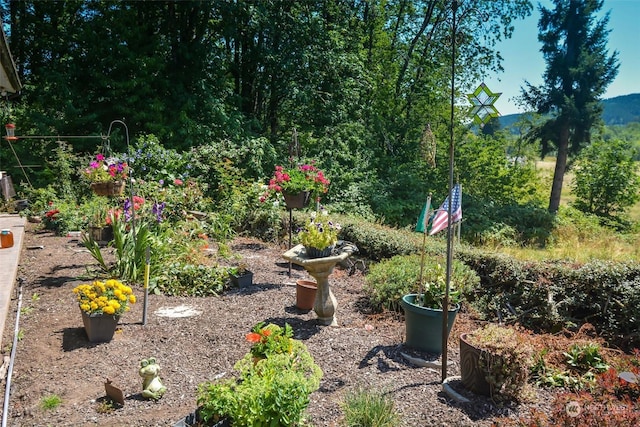 view of yard with a mountain view