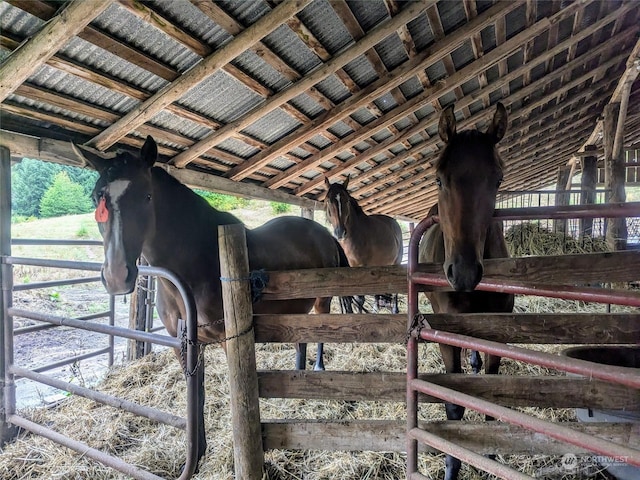 view of stable