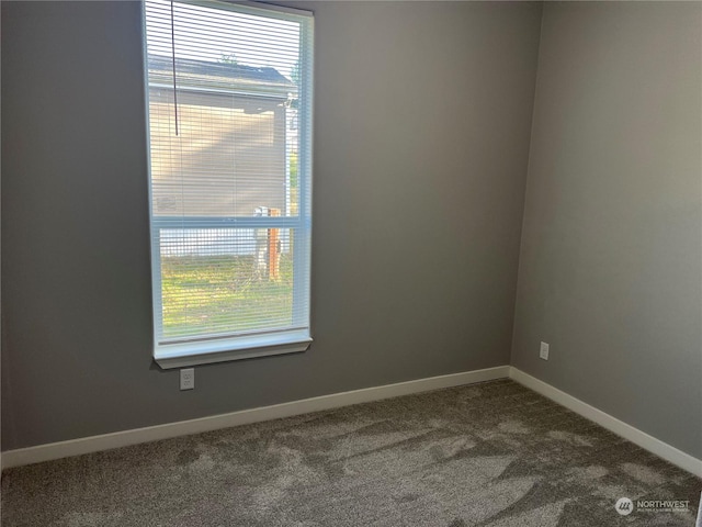 unfurnished room featuring carpet