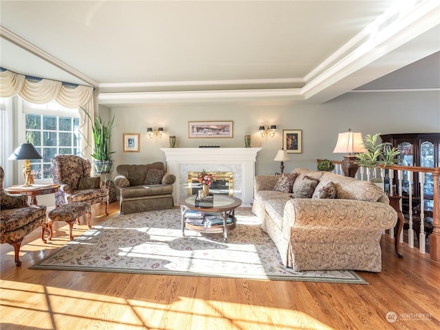 living room with hardwood / wood-style flooring, a fireplace, ornamental molding, and a raised ceiling