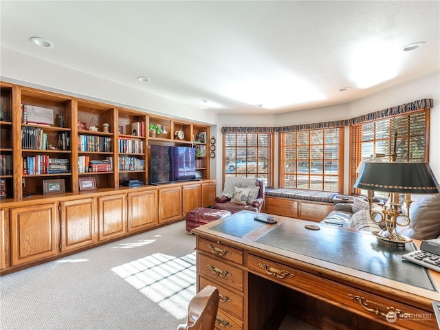 view of carpeted office space