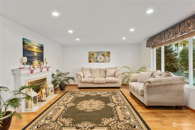 living room with light hardwood / wood-style flooring