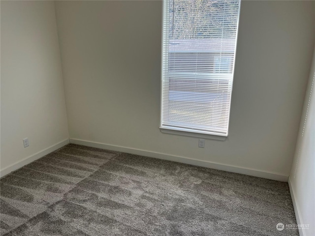 unfurnished room with carpet flooring