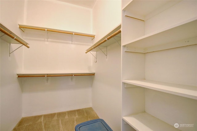 spacious closet with carpet flooring