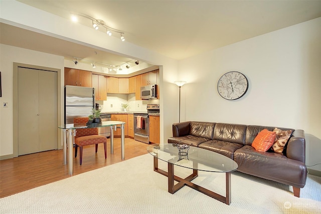 living room with light hardwood / wood-style floors