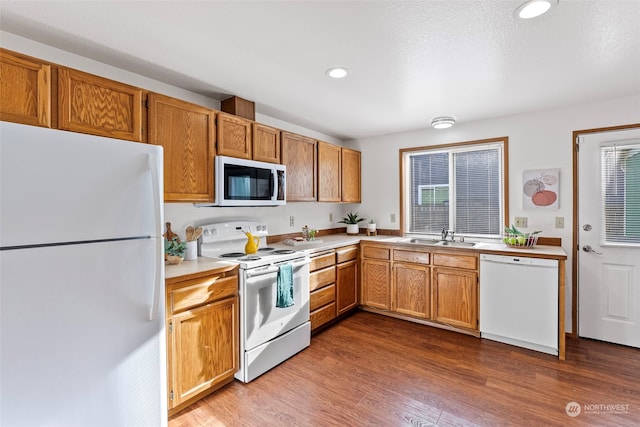 kitchen featuring hardwood / wood-style floors, white appliances, sink, and a healthy amount of sunlight