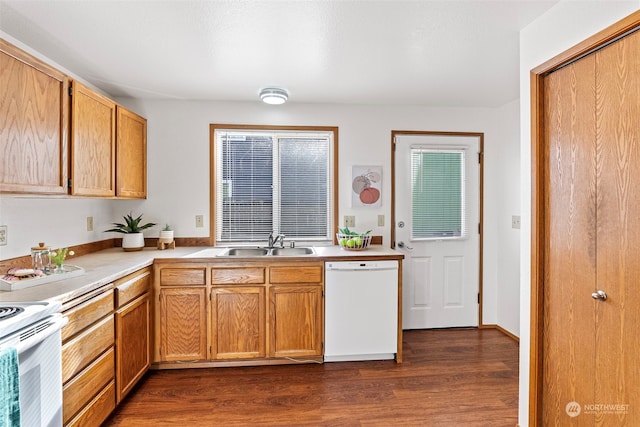 kitchen featuring sink, white appliances, and dark wood-type flooring