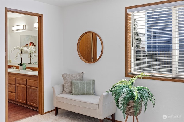 living area featuring sink and light colored carpet