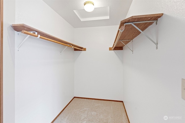 spacious closet featuring carpet floors