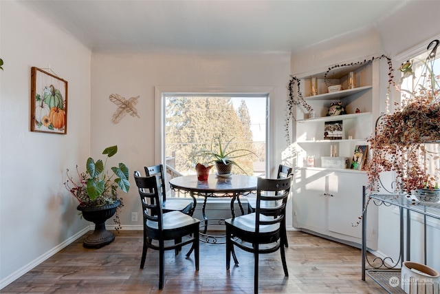 dining space with light hardwood / wood-style flooring